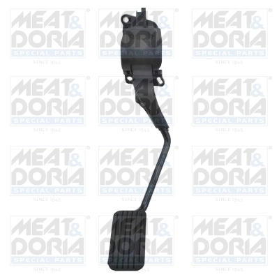 Accelerator Pedal Unit